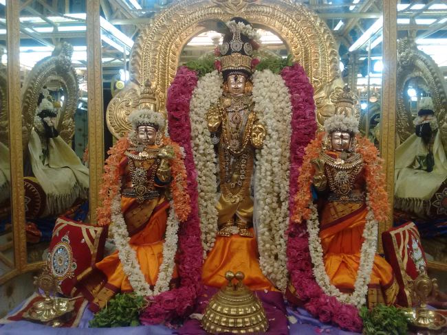 THiruvelukkai Sri Azhagiyasinga Perumal temple Narasimha Jayanthi  2015 09