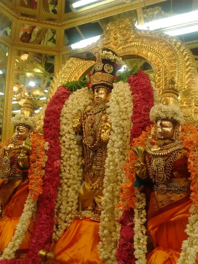 THiruvelukkai Sri Azhagiyasinga Perumal temple Narasimha Jayanthi  2015 11