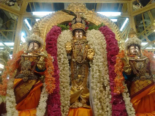 THiruvelukkai Sri Azhagiyasinga Perumal temple Narasimha Jayanthi  2015 12