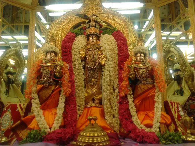 THiruvelukkai Sri Azhagiyasinga Perumal temple Narasimha Jayanthi  2015 15