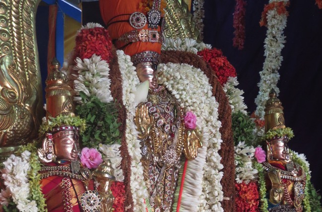 THiruvelukkai Sri Azhagiyasinga perumal Chithirai swathi utsavam  -2015-01