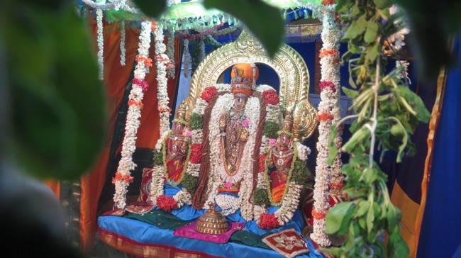 THiruvelukkai Sri Azhagiyasinga perumal Chithirai swathi utsavam  -2015-26