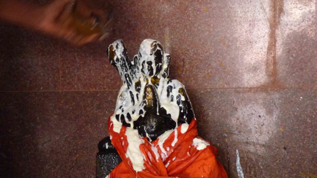 Thillaisthanam Swami Chithirai maasa Aradhanam -2015-11