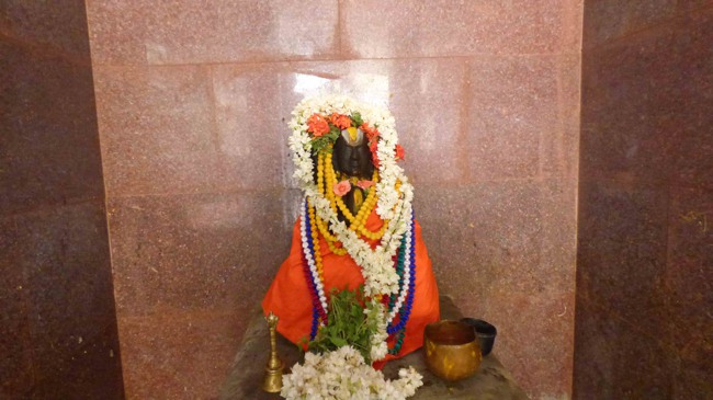 Thillaisthanam Swami Chithirai maasa Aradhanam -2015-23