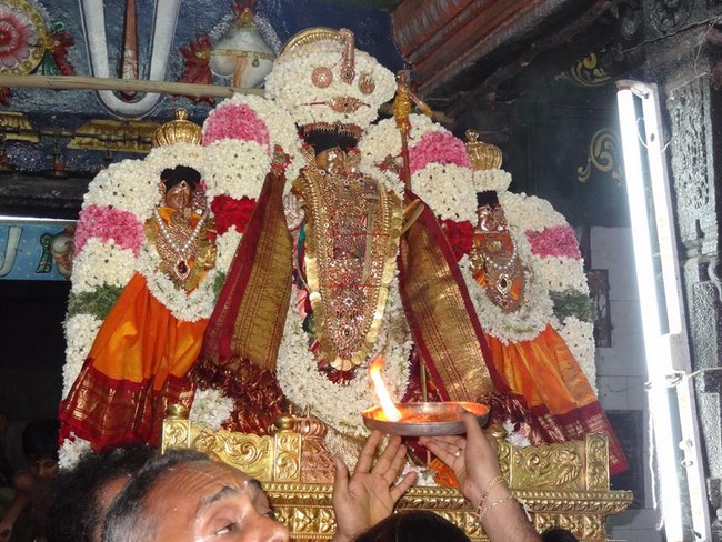 Thiruvahindrapuram Sri Devanathan Perumal Temple Chithirai Brahmotsavam1