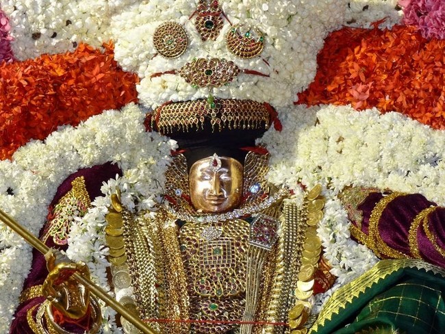 Thiruvahindrapuram Sri Devanathan Perumal Temple Chithirai Brahmotsavam12