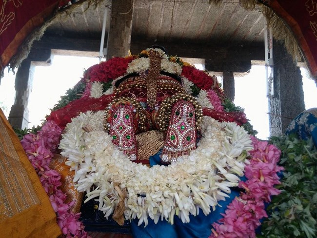 Thiruvahindrapuram Sri Devanathan Perumal Temple Chithirai Brahmotsavam13