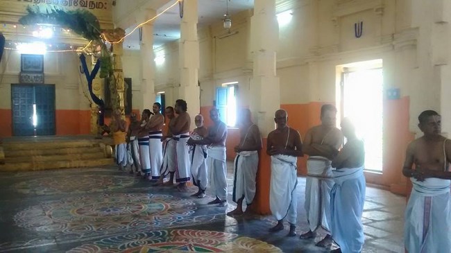 Thiruvahindrapuram Sri Devanathan Perumal Temple Chithirai Brahmotsavam14