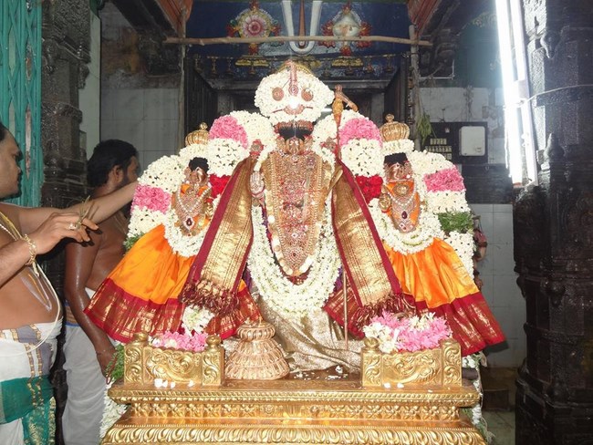 Thiruvahindrapuram Sri Devanathan Perumal Temple Chithirai Brahmotsavam19