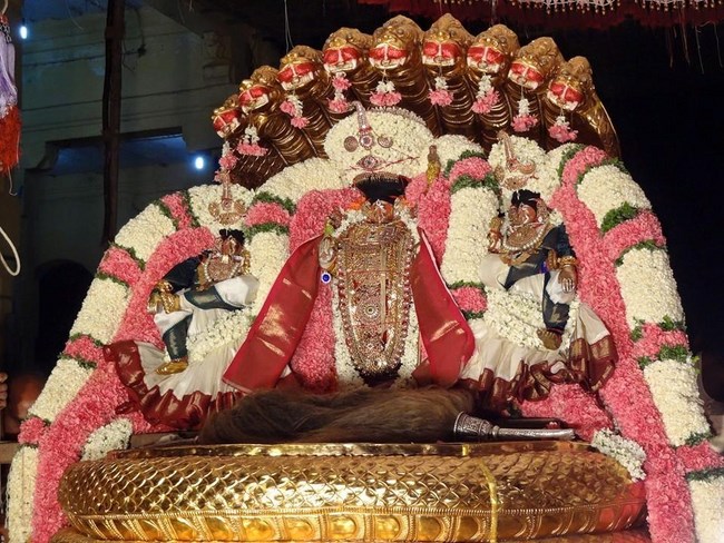 Thiruvahindrapuram Sri Devanathan Perumal Temple Chithirai Brahmotsavam21