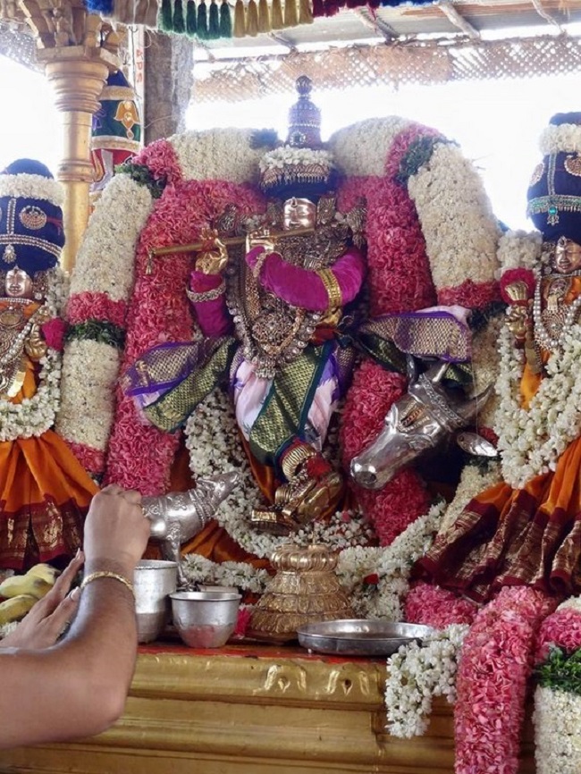 Thiruvahindrapuram Sri Devanathan Perumal Temple Chithirai Brahmotsavam4