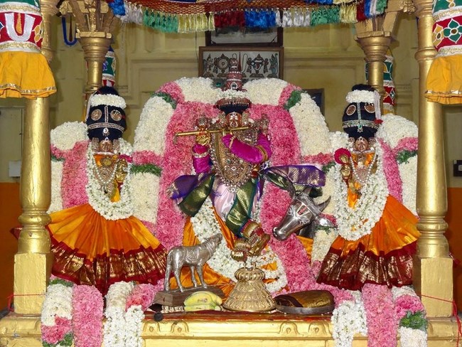 Thiruvahindrapuram Sri Devanathan Perumal Temple Chithirai Brahmotsavam8