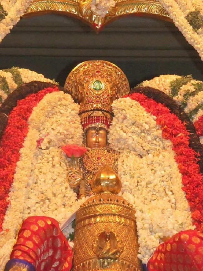 Thiruvallur Sri Veeraraghava Perumal Temple Chithirai Brahmotsavam12
