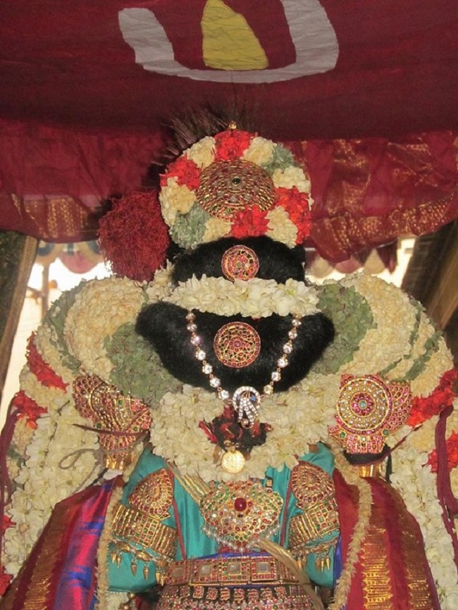 Thiruvallur Sri Veeraraghava Perumal Temple Chithirai Brahmotsavam13