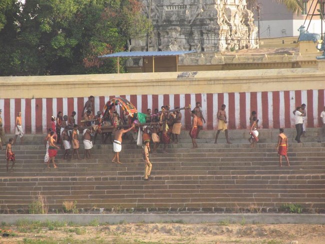 Thiruvallur Sri Veeraraghava Perumal Temple Chithirai Brahmotsavam14
