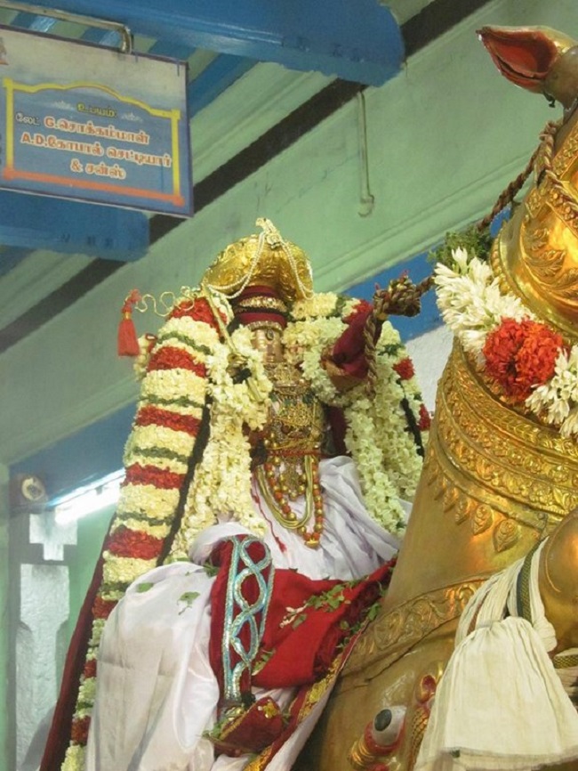 Thiruvallur Sri Veeraraghava Perumal Temple Chithirai Brahmotsavam20