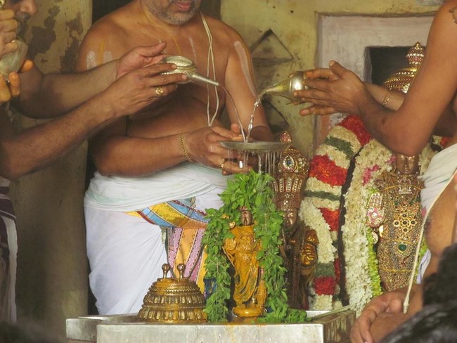 Thiruvallur Sri Veeraraghava Perumal Temple Chithirai Brahmotsavam26