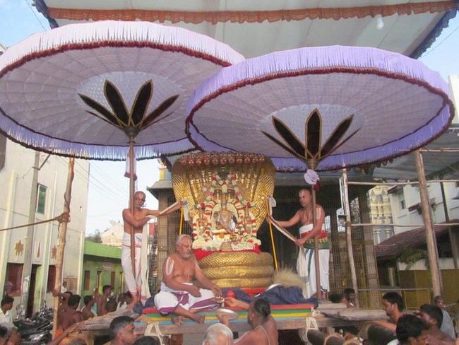 Thiruvallur Sri Veeraraghava Perumal Temple Chithirai Brahmotsavam28