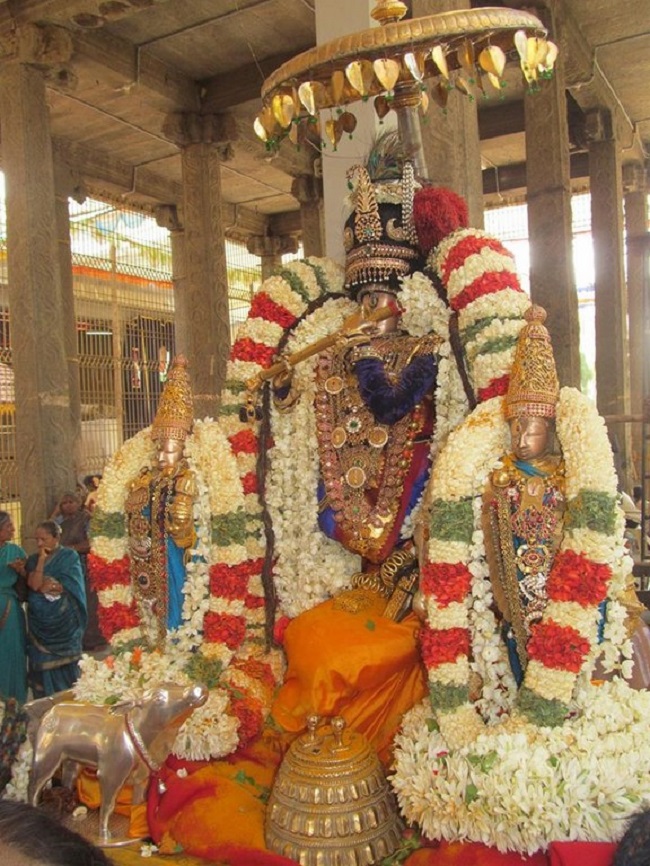 Thiruvallur Sri Veeraraghava Perumal Temple Chithirai Brahmotsavam3
