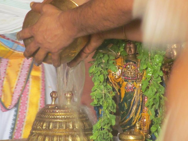 Thiruvallur Sri Veeraraghava Perumal Temple Chithirai Brahmotsavam31
