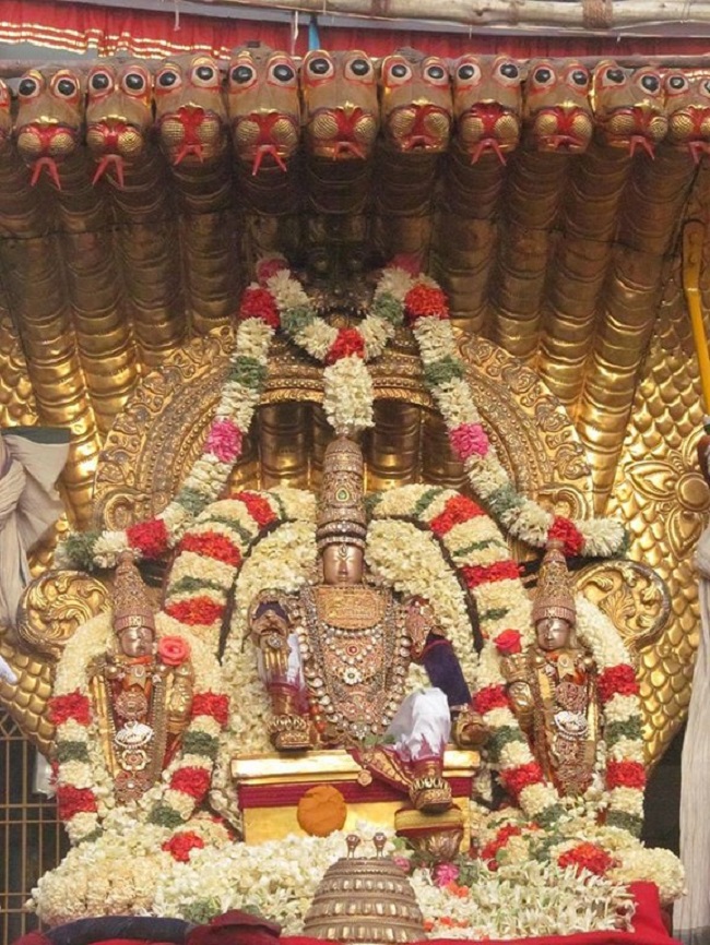 Thiruvallur Sri Veeraraghava Perumal Temple Chithirai Brahmotsavam33