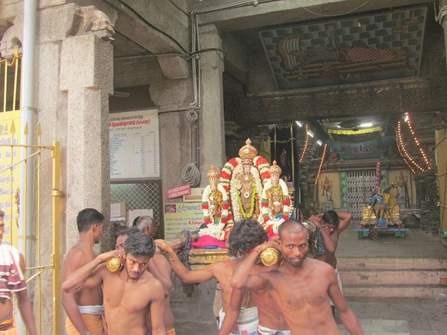 Thiruvallur Sri Veeraraghava Perumal Temple Chithirai Brahmotsavam33