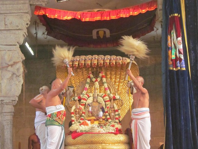 Thiruvallur Sri Veeraraghava Perumal Temple Chithirai Brahmotsavam35
