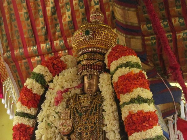 Thiruvallur Sri Veeraraghava Perumal Temple Chithirai Brahmotsavam37