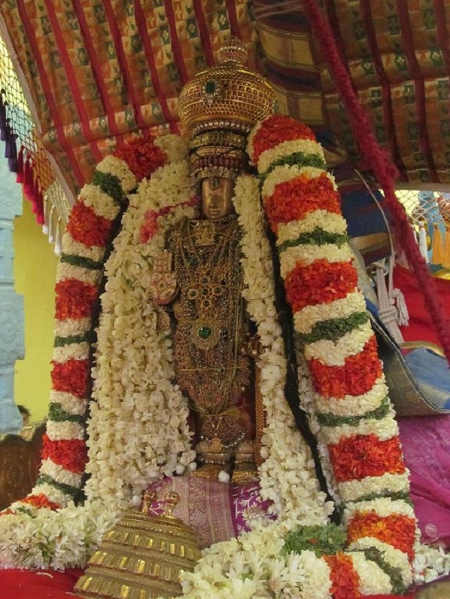 Thiruvallur Sri Veeraraghava Perumal Temple Chithirai Brahmotsavam50