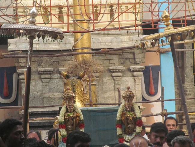 Thiruvallur Sri Veeraraghava Perumal Temple Chithirai Brahmotsavam51