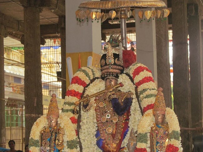 Thiruvallur Sri Veeraraghava Perumal Temple Chithirai Brahmotsavam7