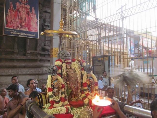 Thiruvallur Sri Veeraraghava Perumal Temple Chithirai Brahmotsavam9
