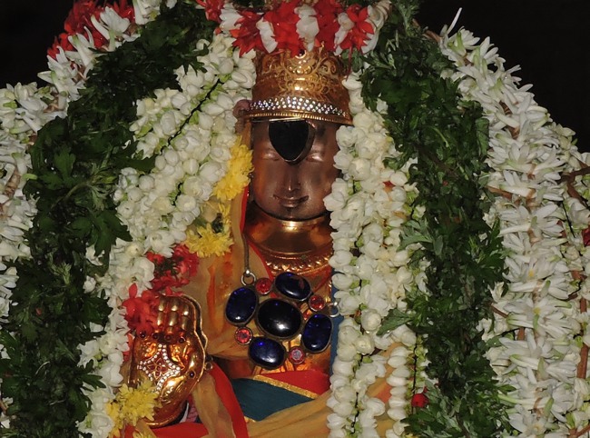 Thiruvellarai Poochatru Utsavam -2015-01