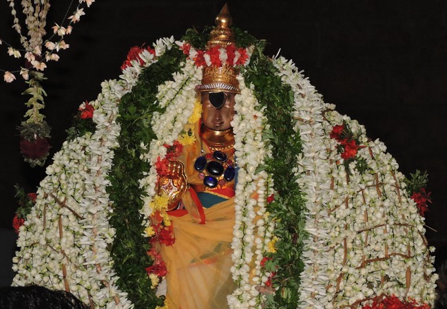 Thiruvellarai Poochatru Utsavam -2015-02
