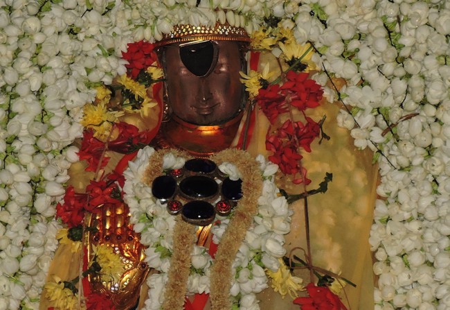 Thiruvellarai Poochatru Utsavam -2015-04