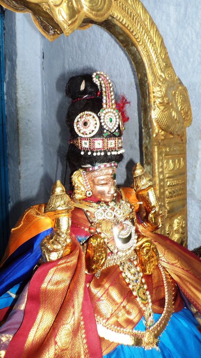 Thiruvellukai_Puruppadu_03