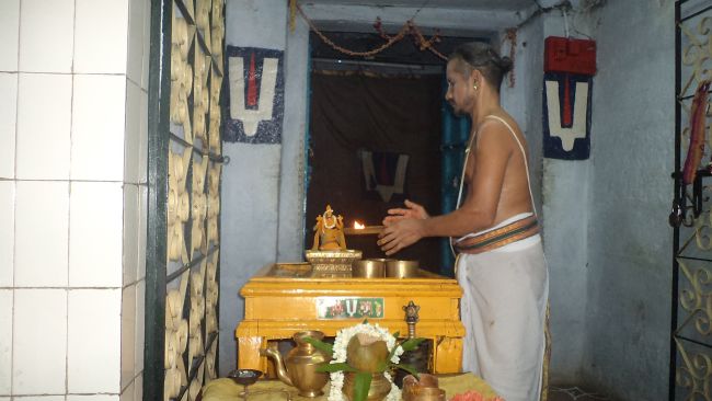 Thiruvelukkai Sri Azhagiyasinga Perumal Temple Vaikasi Ammavasai Utsavam 2015 05