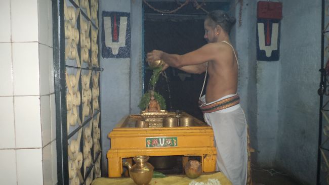 Thiruvelukkai Sri Azhagiyasinga Perumal Temple Vaikasi Ammavasai Utsavam 2015 08