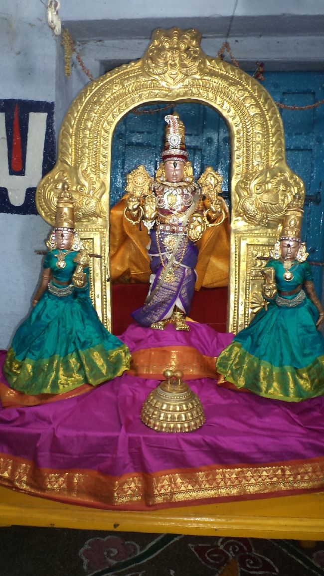 Thiruvelukkai Sri Azhagiyasinga Perumal Temple Vaikasi Ammavasai Utsavam 2015 16