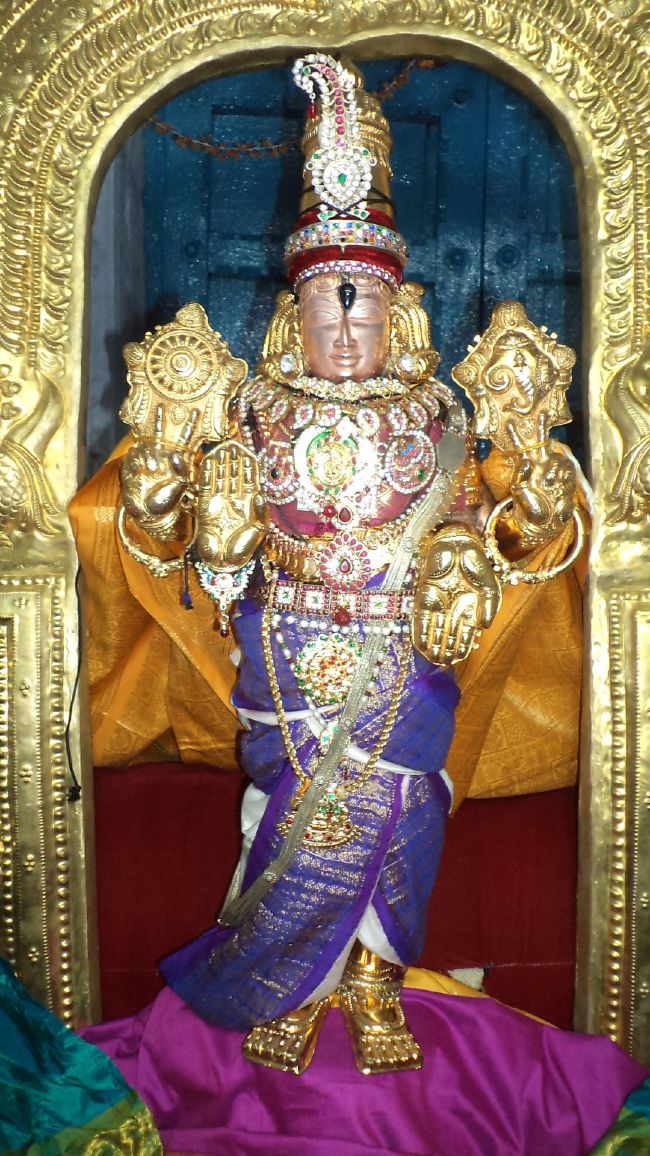 Thiruvelukkai Sri Azhagiyasinga Perumal Temple Vaikasi Ammavasai Utsavam 2015 17