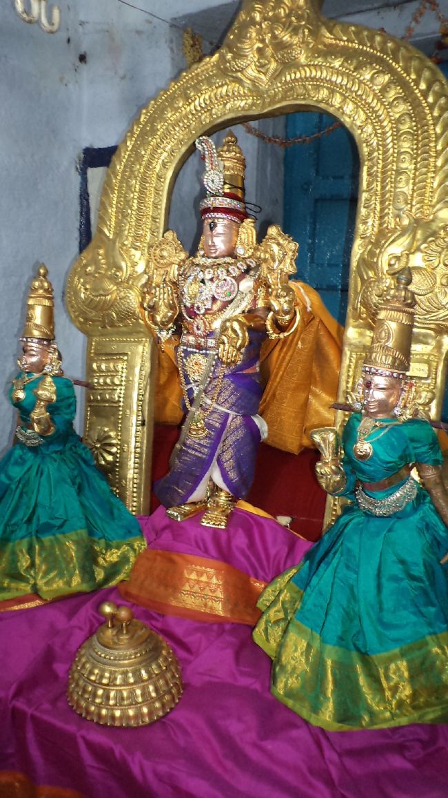 Thiruvelukkai Sri Azhagiyasinga Perumal Temple Vaikasi Ammavasai Utsavam 2015 18