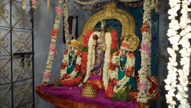 Thiruvelukkai Sri Azhagiyasinga Perumal Temple Vaikasi Ammavasai Utsavam 2015 19