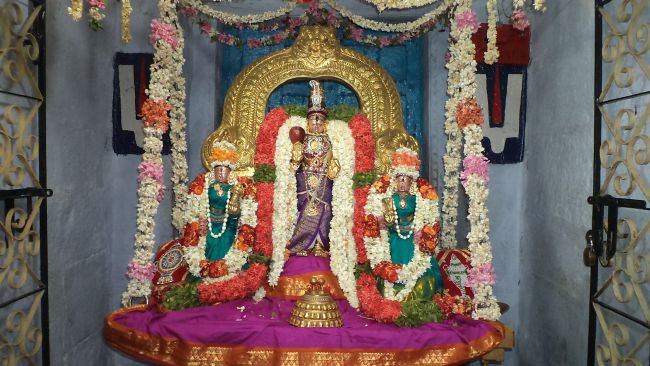 Thiruvelukkai Sri Azhagiyasinga Perumal Temple Vaikasi Ammavasai Utsavam 2015 20