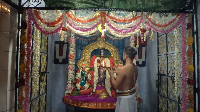 Thiruvelukkai Sri Azhagiyasinga Perumal Temple Vaikasi Ammavasai Utsavam 2015 23