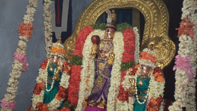 Thiruvelukkai Sri Azhagiyasinga Perumal Temple Vaikasi Ammavasai Utsavam 2015 26
