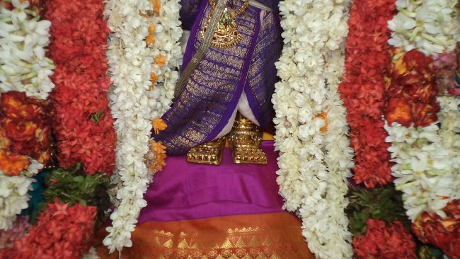 Thiruvelukkai Sri Azhagiyasinga Perumal Temple Vaikasi Ammavasai Utsavam 2015 28