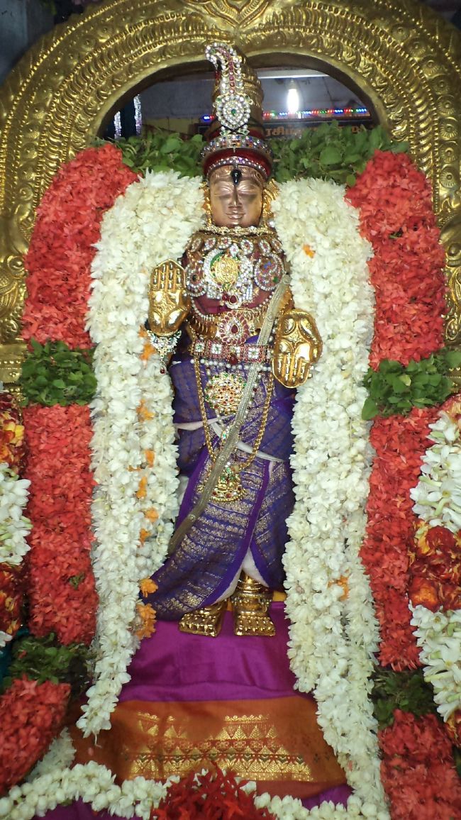 Thiruvelukkai Sri Azhagiyasinga Perumal Temple Vaikasi Ammavasai Utsavam 2015 29