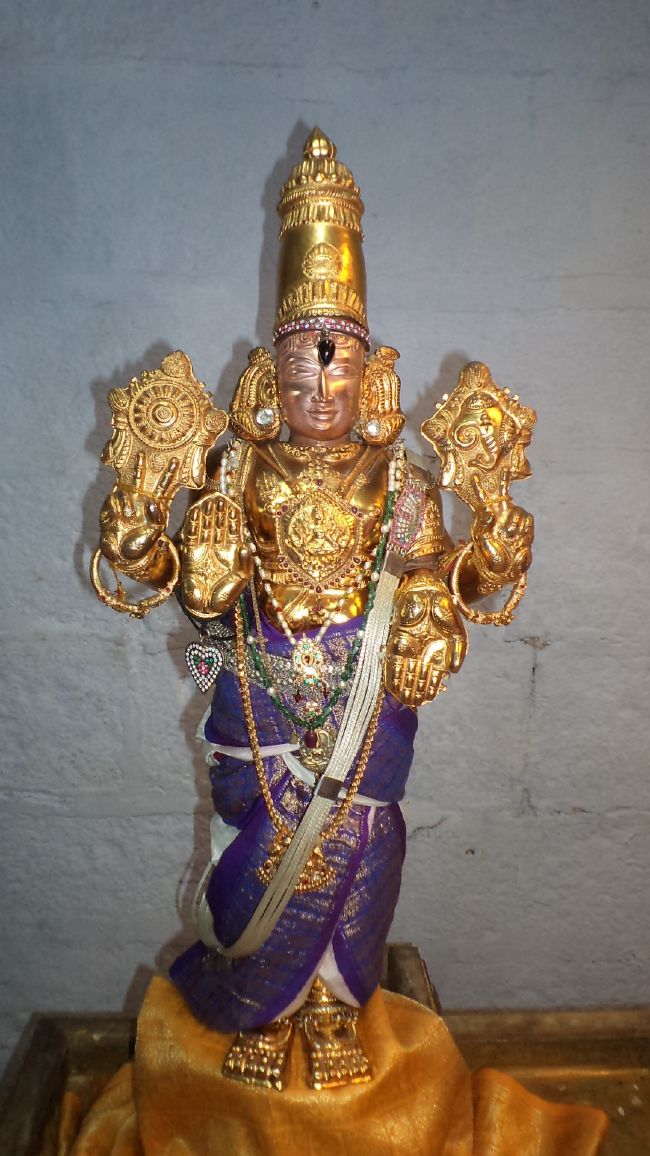 Thiruvelukkai Sri Azhagiyasinga Perumal Temple Vaikasi Ammavasai Utsavam 2015 30