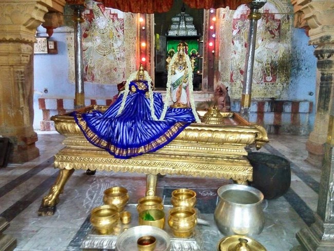 Vanamamalai Sri Deivanayaga Perumal Temple Chithirai Brahmotsavam10