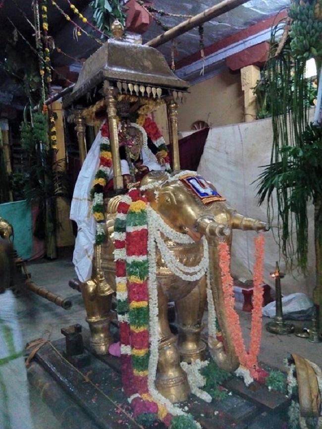 Vanamamalai Sri Deivanayaga Perumal Temple Chithirai Brahmotsavam1